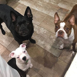 Meet your Posher, Ryan